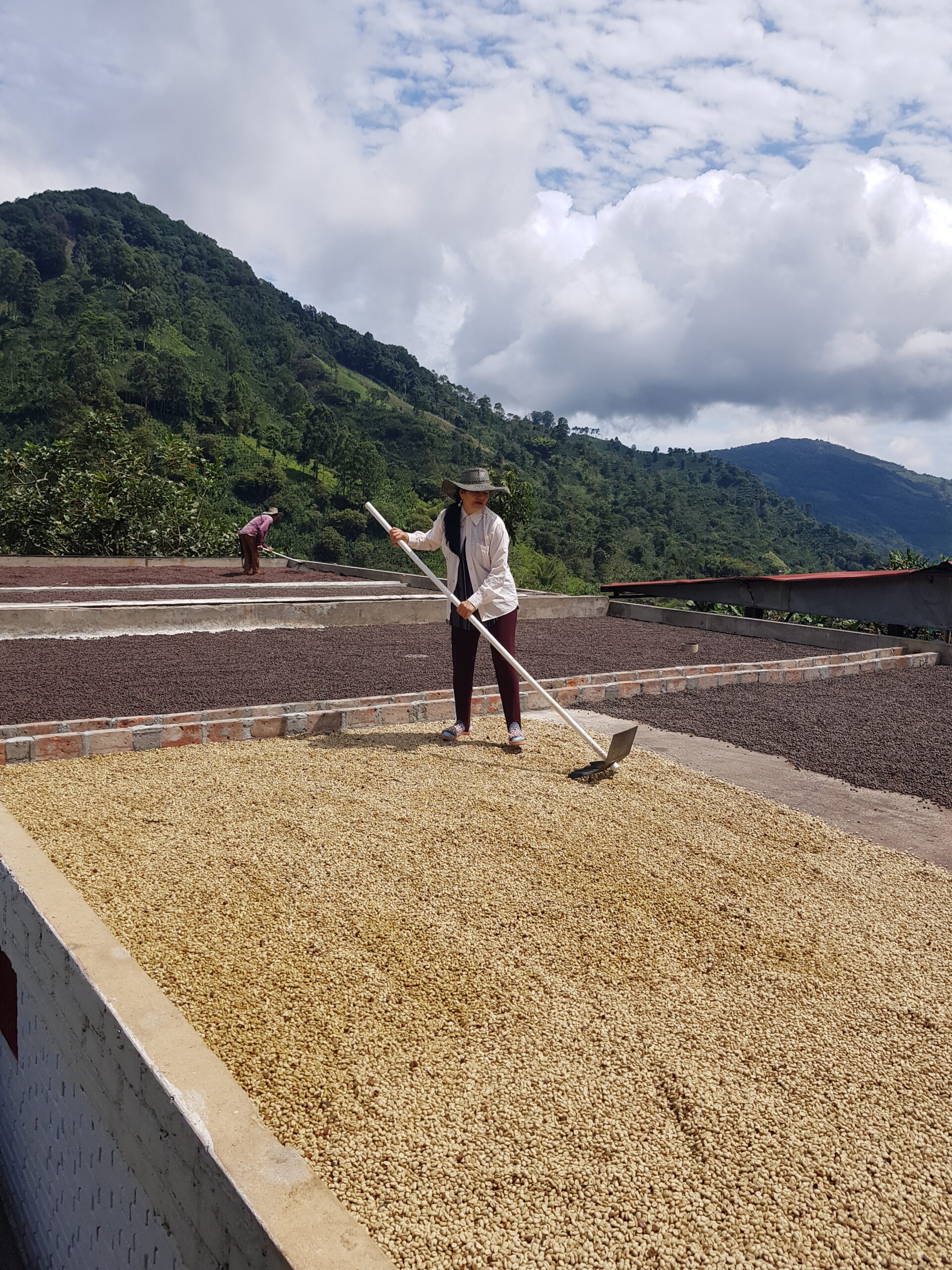 Koopi Genova - Colombie – Image 4